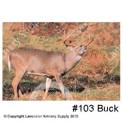 Delta McKenzie Tru-Life Large Animal Target Face