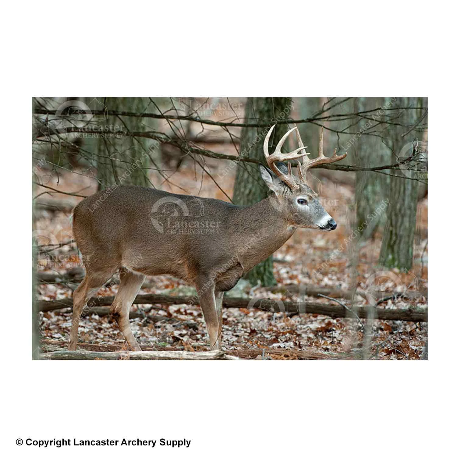 NiceTargets Deer Targets - Image 3