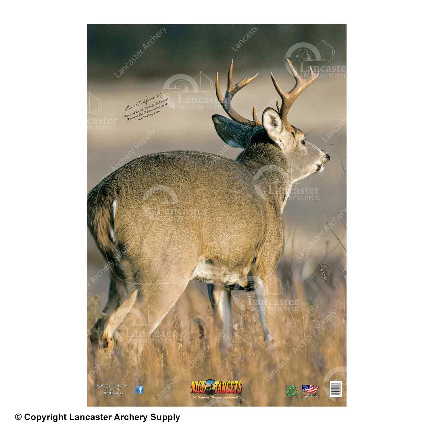 NiceTargets Deer Targets - Image 2